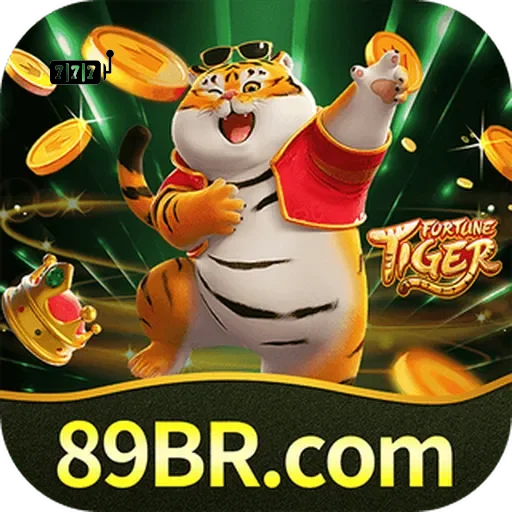89br Logo
